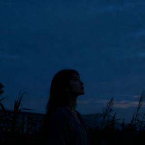 这是我的世界（是不是太孤单）