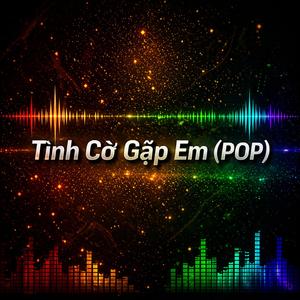 Tình Cờ Gặp Em