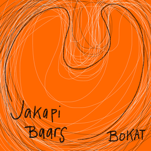 Bokat