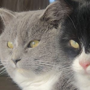 OJC Hockey Fix (Earl Armstrong Mix)