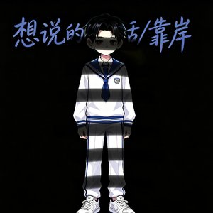 想说的话