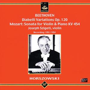 Variation on a Waltz by Diabelli, Op. 120: X. Vatiation No. 9: Allegro pesante e risoluto