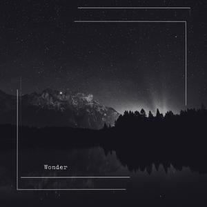 Wonder