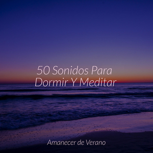 Sueño Resonante de Apex