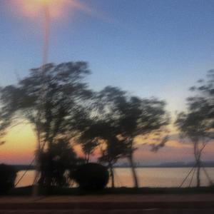 我已不想了解關於你的近況