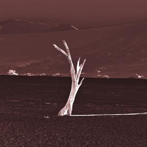 我和将军的故事