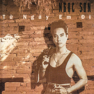 Từ ngày em đi