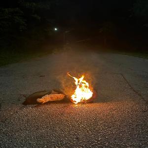 No Toxic (feat. Josh Castillo)