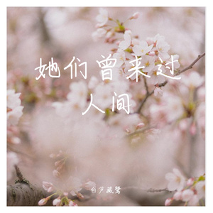 前缘误（《金枝欲孽》同人曲）