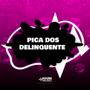 PICA DOS DELINQUENTE