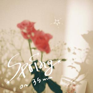 Spring on 35mm