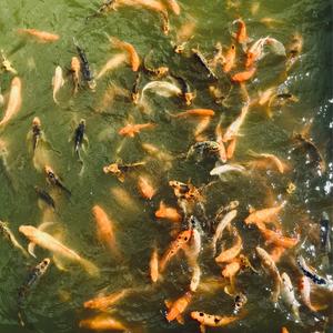 Deshacer tu recuerdo y no mirar atrás