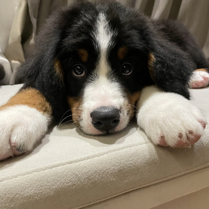 이 사랑 (这份爱).wav