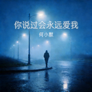 你说过会永远爱我