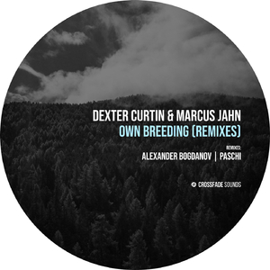 Own Breeding (Alexander Bogdanov Remix)