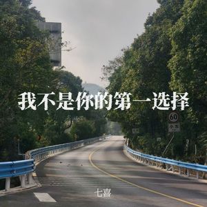 我不是你的第一选择