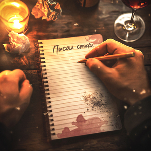 Писал стихи