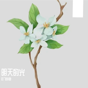 明天的光