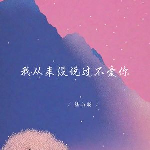 我从来没说过不爱你