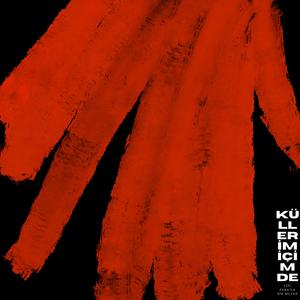 KÜLLERİM İÇİMDE