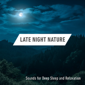 睡眠用BGM 鳥の声と森のギターセラピー