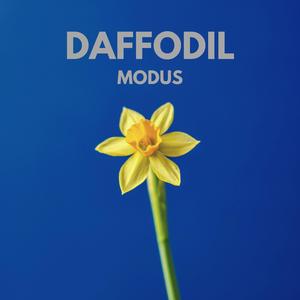 Daffodil