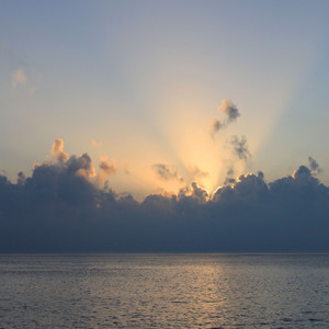 그대와 나눈 아름다운 말들