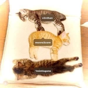 unstoppable! (feat. venthan & index)