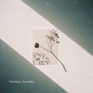 Equilibrando Sentimientos