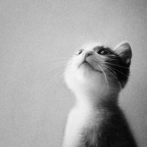 人生（Cover 夏小虎）