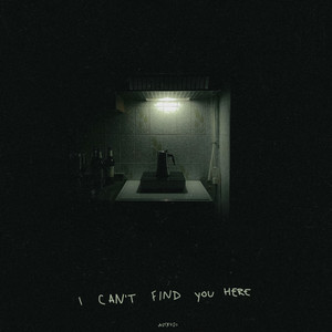 I Can't Find My Home
