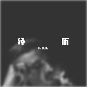 经历（Demo）