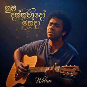 නුඹ දන්නවාදෝ මන්දා (Numba Dannawaado Manda)
