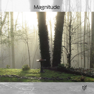 Magnitude