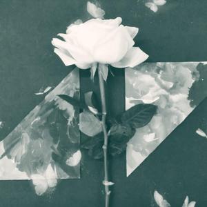 Avicii-Revolver（Y-ON-GT remix）