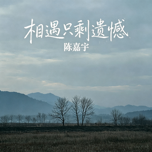 相遇只剩遗憾