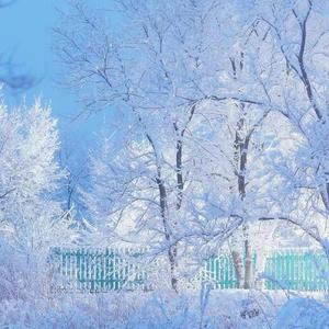 贵州下雪了，你不在我身边