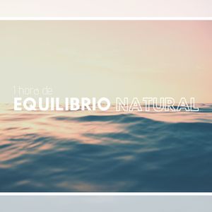 Amanecer en el Bosque