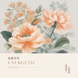 宁静之声 (吉他)