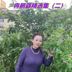 姑娘好似萨日朗