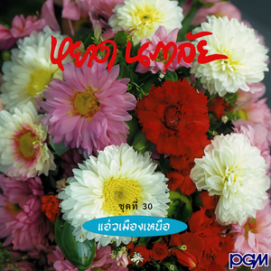 น้อยใจยา