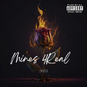 Mines 4Real