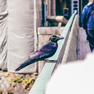 【Free】“闪烁”xJersey Club Type Beat