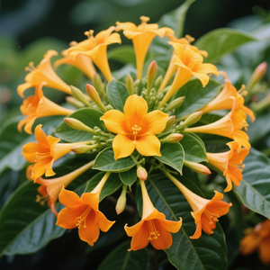 Cerita Membangkitkan Jiwa