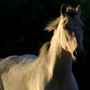 old school type beat4