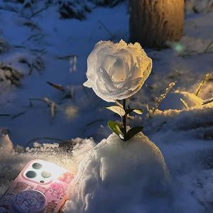 冬眠DJ（又是一年冬）