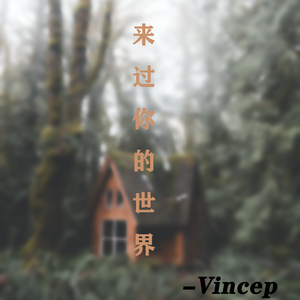 来过你的世界