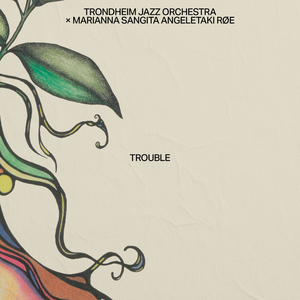 Trouble (Radio Edit)