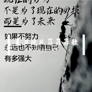 留给我的小猫咪