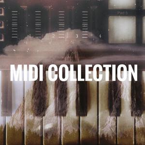 M.G.D(nodrum)